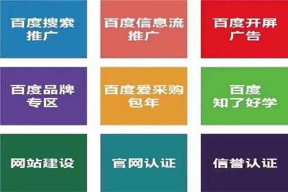 竞价排名成功案例分享